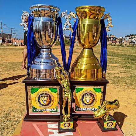 Trofeos de campeón y vice-campeón